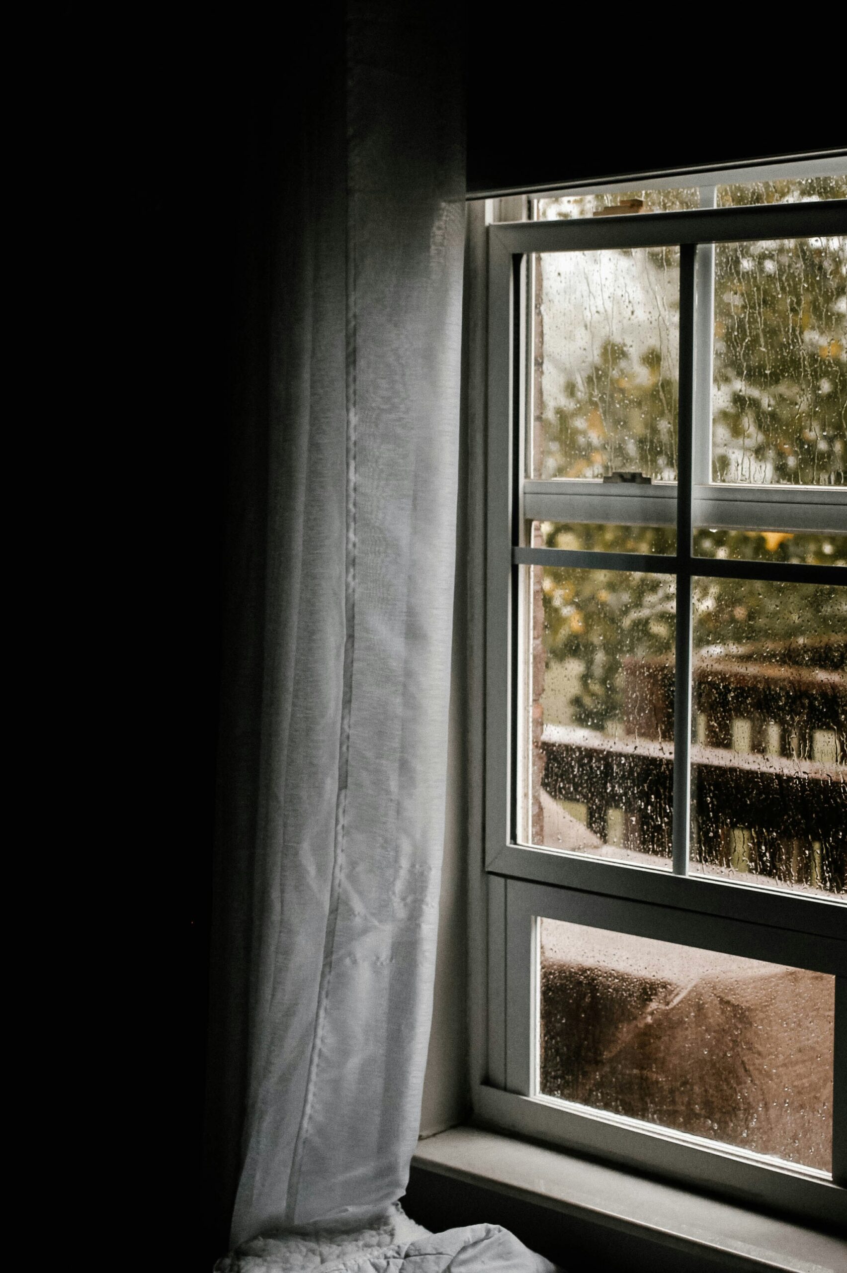 窓