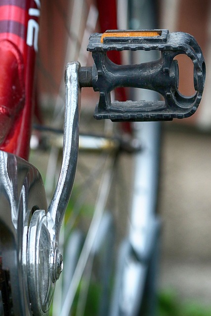 自転車