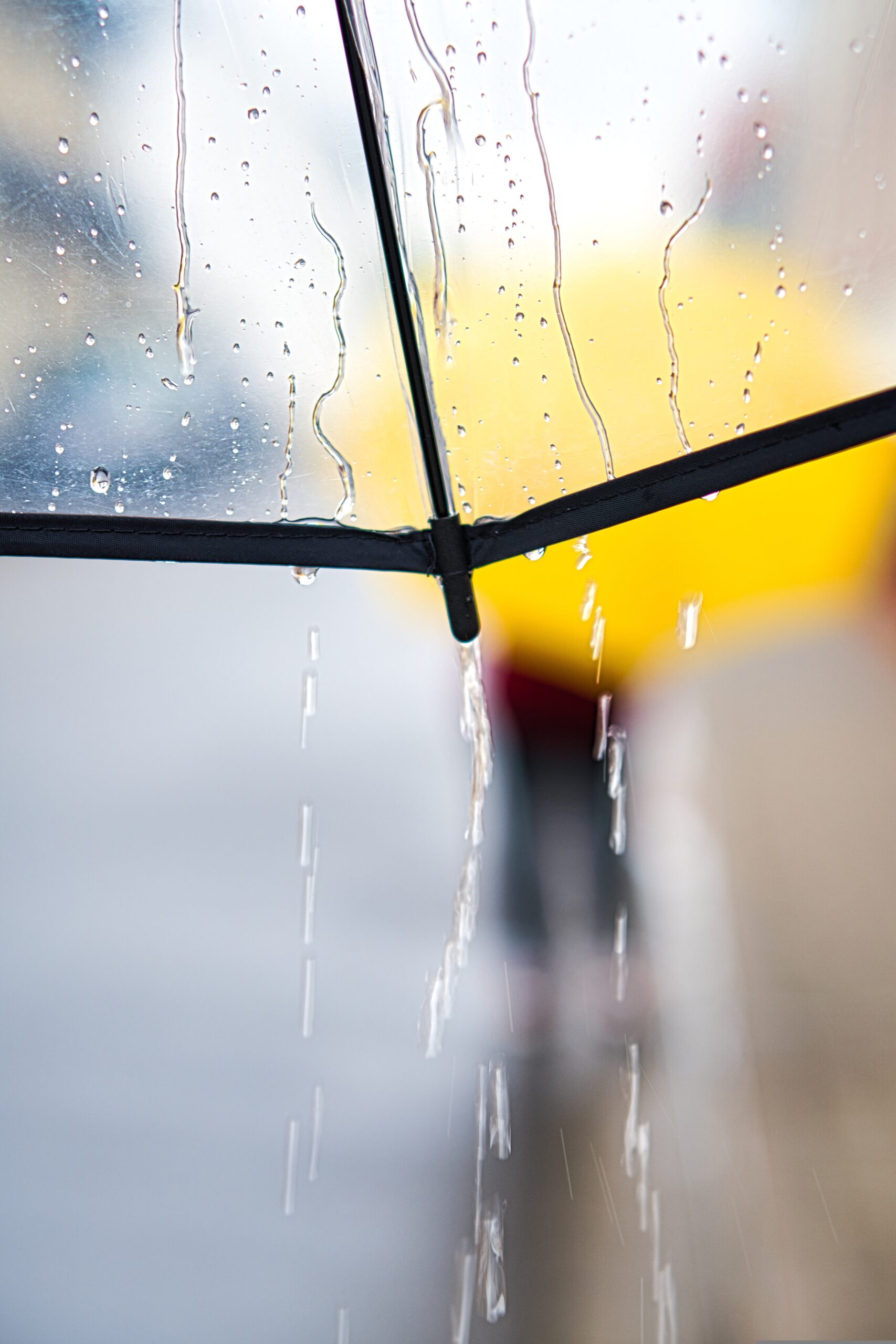 雨