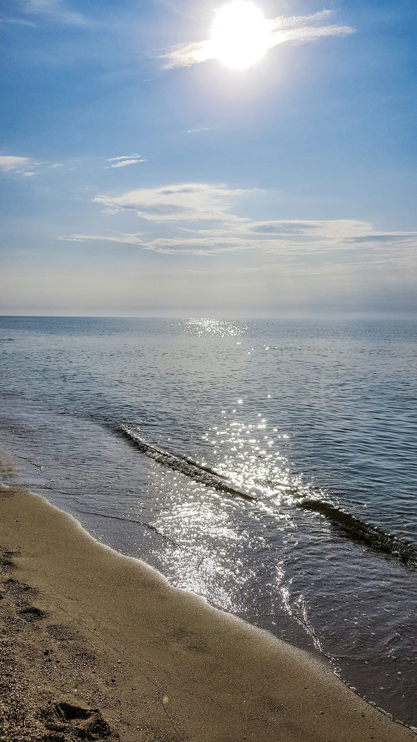 海